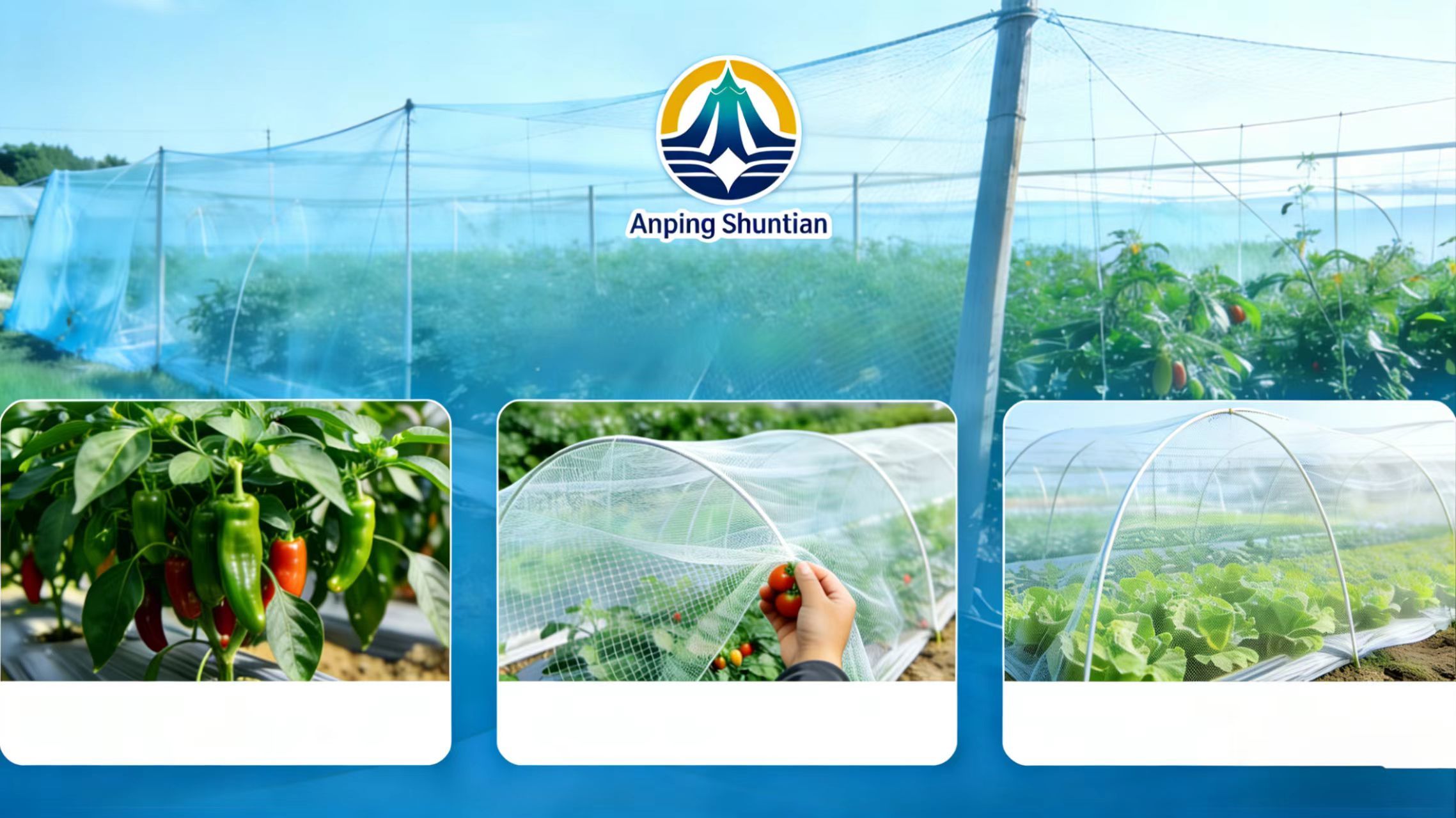 quality Insect Mesh Net factory