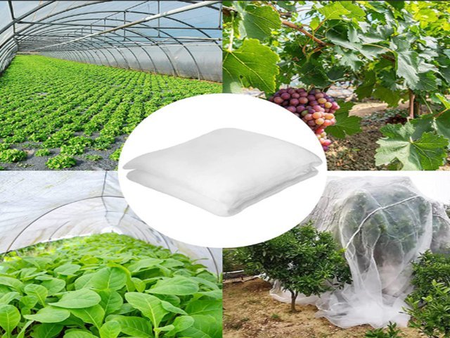 Flowers Or Plants Garden Mesh Netting For Raised Beds 5 Years