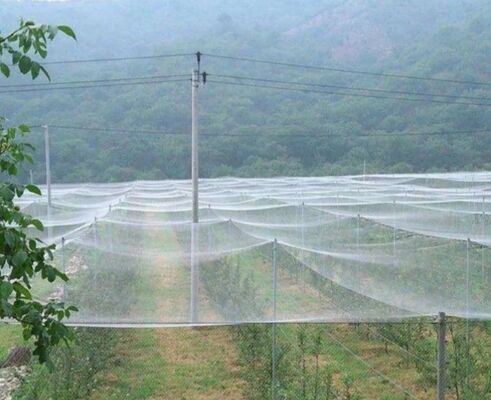 Insect Netting ,Garden insect net Anti insect net