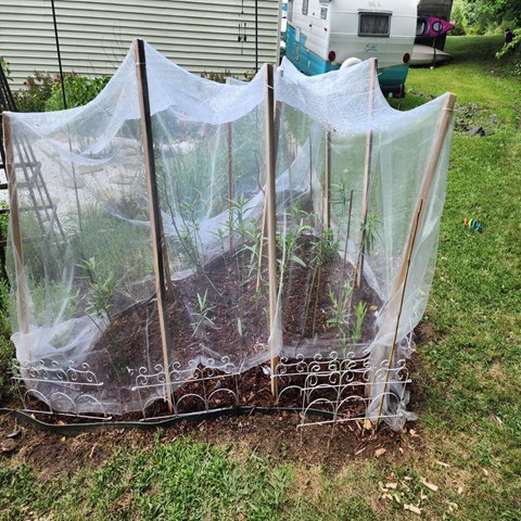 Insect Netting ,Garden insect net Anti insect net